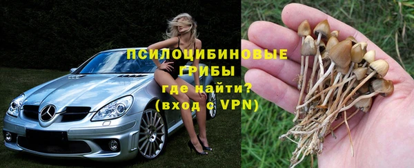 прущие крисы Верхний Тагил