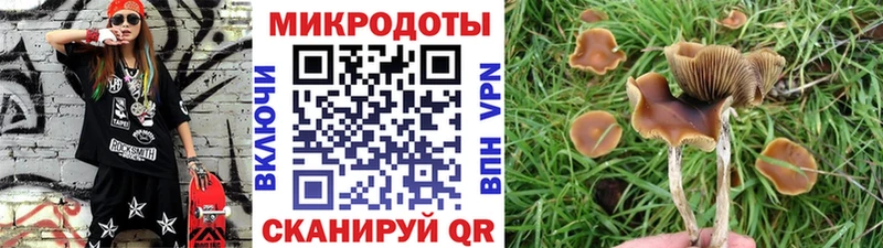 купить наркоту Крым кракен tor Псилоцибиновые грибы мухоморы